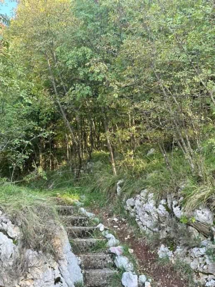 original_1731495127_gradevinsko-zemljiste-rijeka-svilno-1490-m2-prodaja-zamjena-slika-231584244.jpg