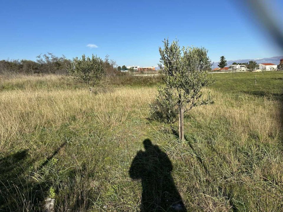 original_1733228910_img_2400.jpg