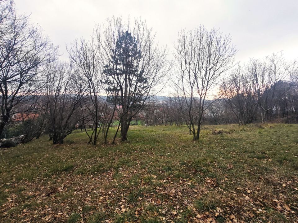 original_1734610052_1000105507.jpg