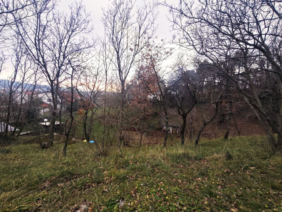 original_1734610074_1000105510.jpg