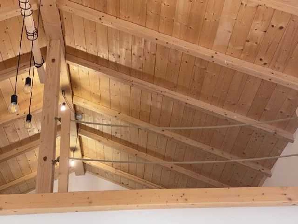 original_1736252508_thumb_img_9516d_1024.jpeg
