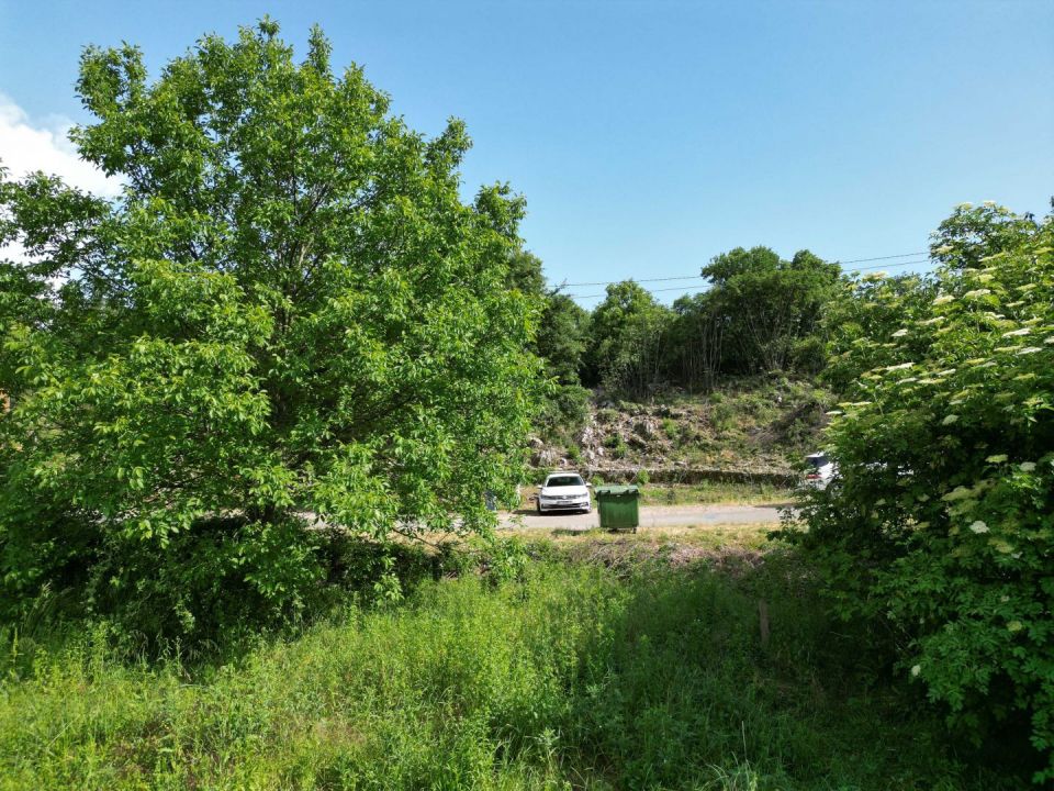 original_1686001161_dji_0010.jpeg