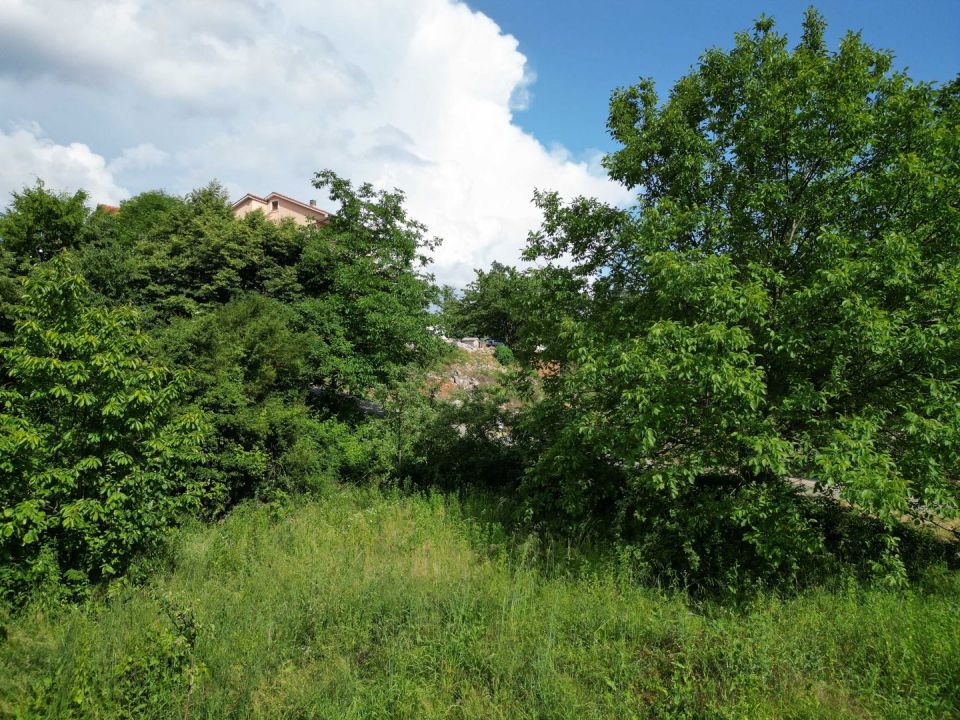 original_1686001166_dji_0011.jpeg