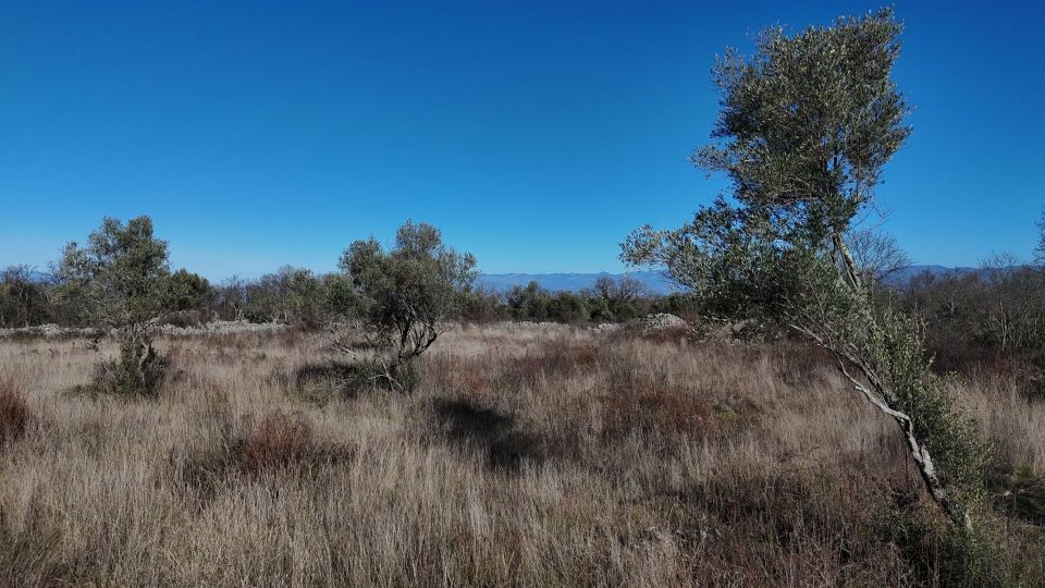 original_1738312683_dji_20250130104013_0011_d.jpg