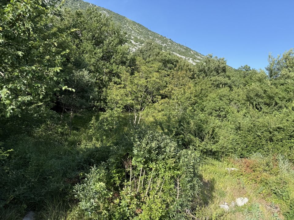 original_1773244504_img_4465.jpg