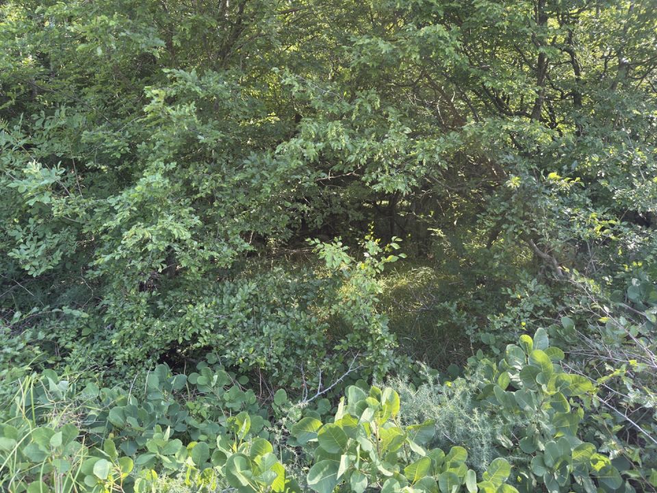 original_1773244523_img_4462.jpg