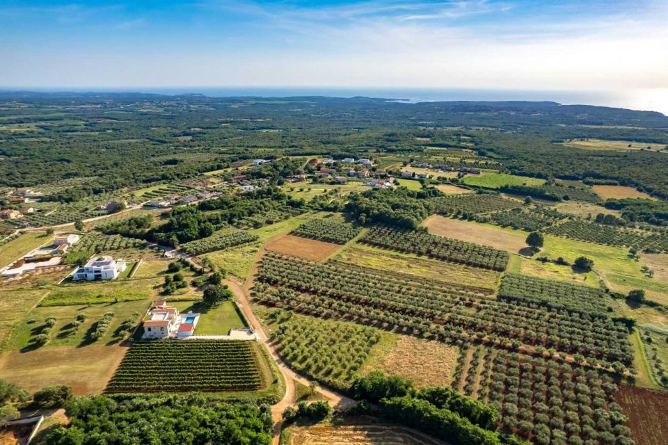 original_1738322194_dji_0660.jpg