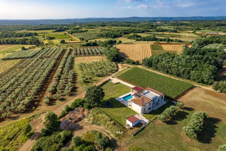 original_1738322207_dji_0646.jpg