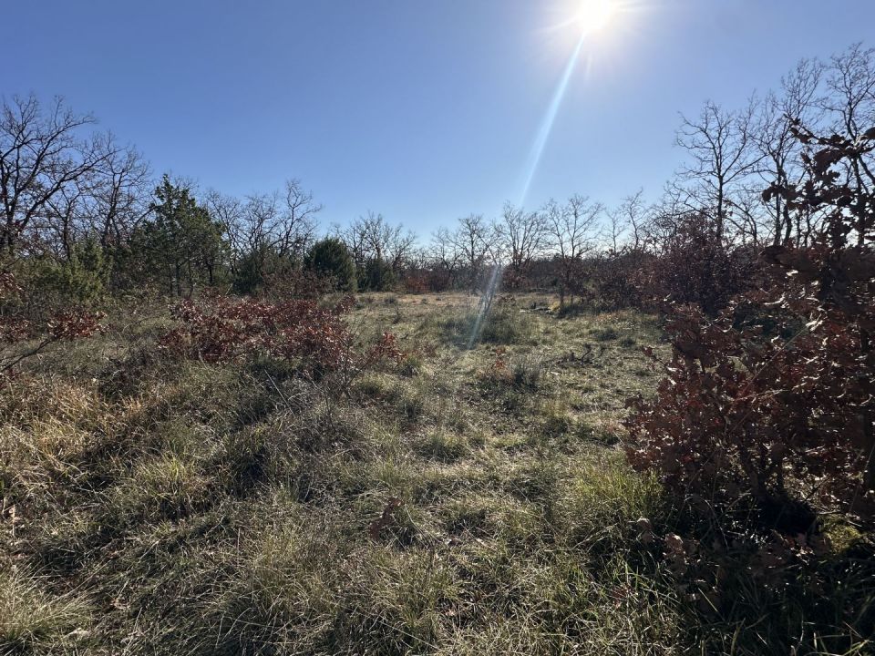 original_1738682567_img_6084.jpg