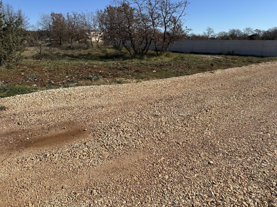 original_1740007574_img_6870.jpg