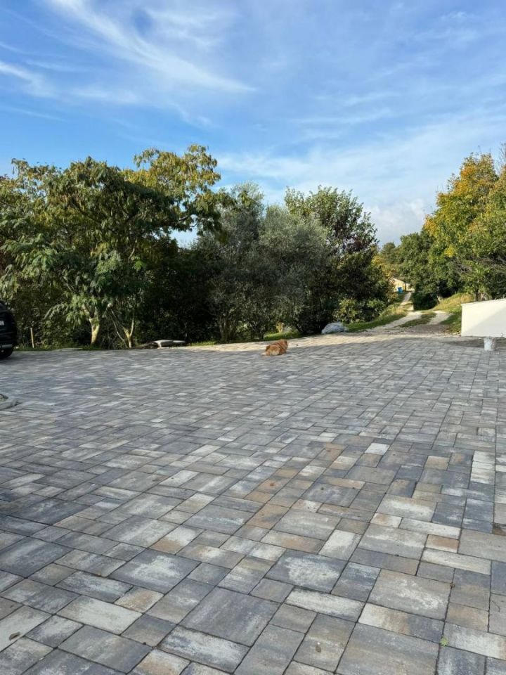 original_1740997797_7.jpg