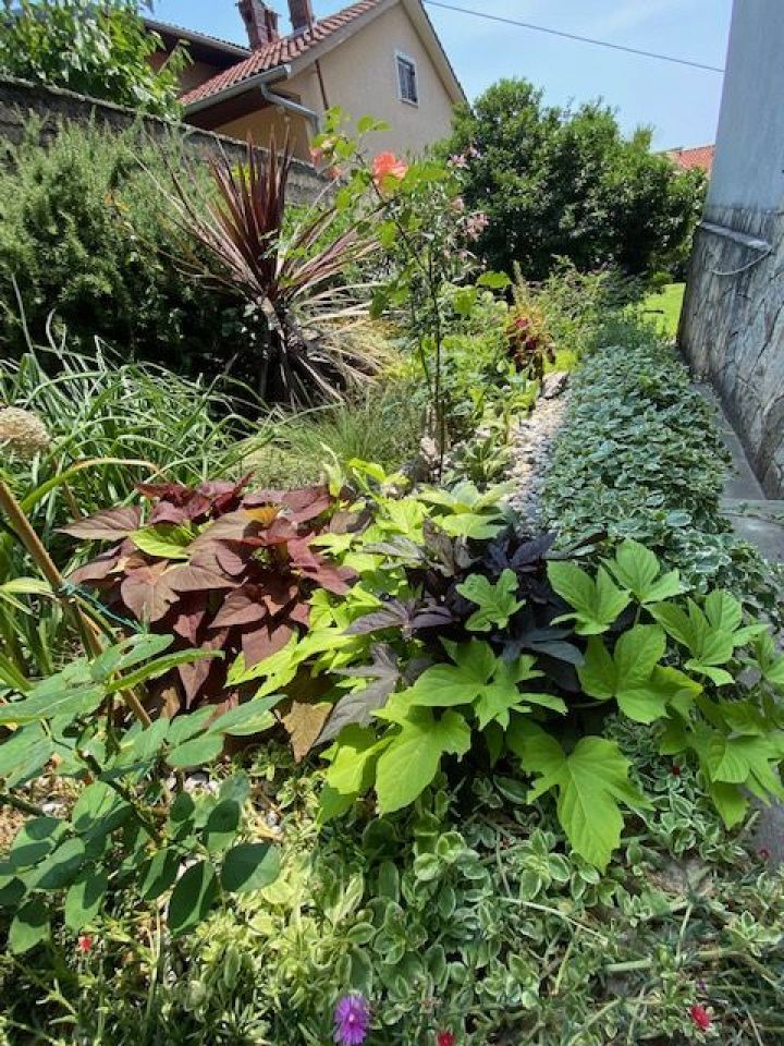 original_1680179554_img_1532.jpg