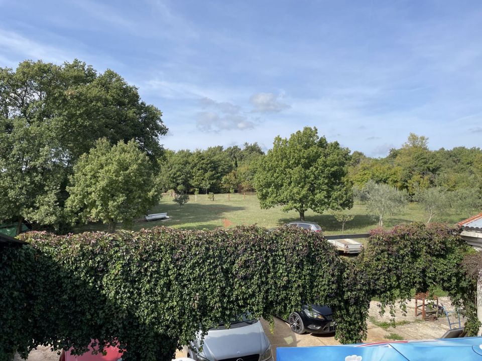original_1633284079_img_2225.jpg