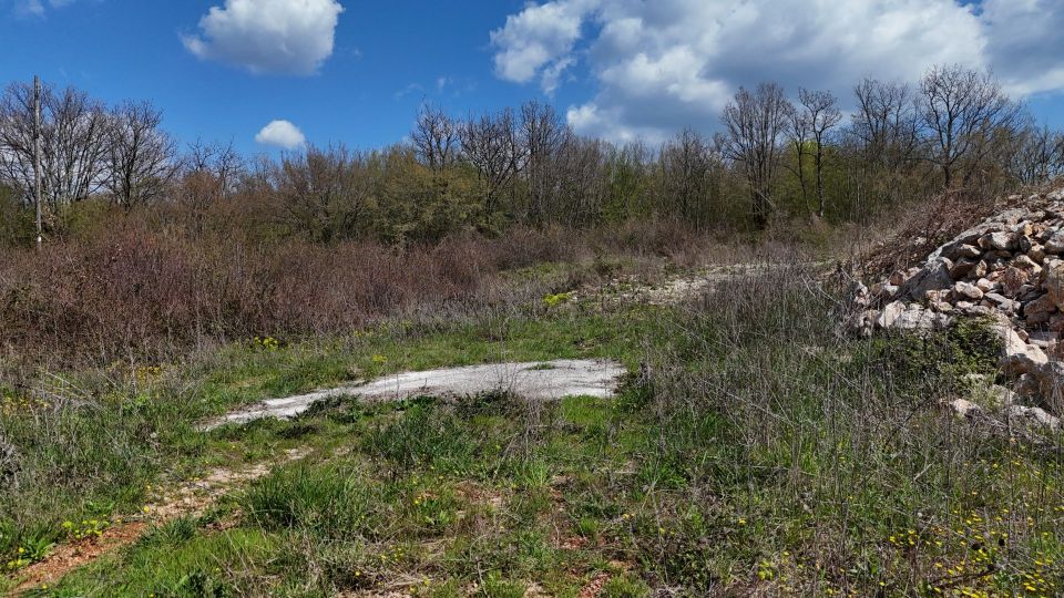 original_1746080219_dji_20250403133824_0010_d.jpg