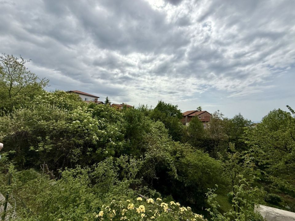 original_1745500871_img_4221.jpeg