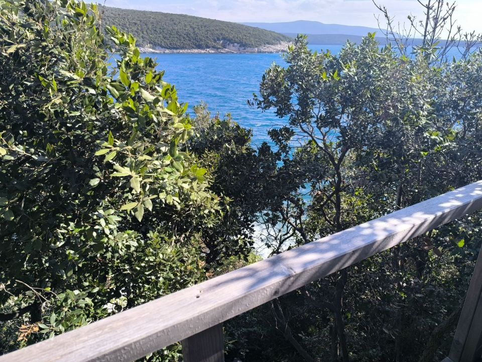 original_1745937576_img_20250402_100539.jpg