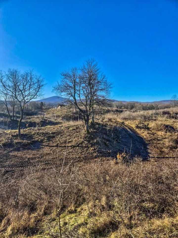 original_1739266644_cea6f44d-983d-4f3d-87a3-57a858448958.jpeg
