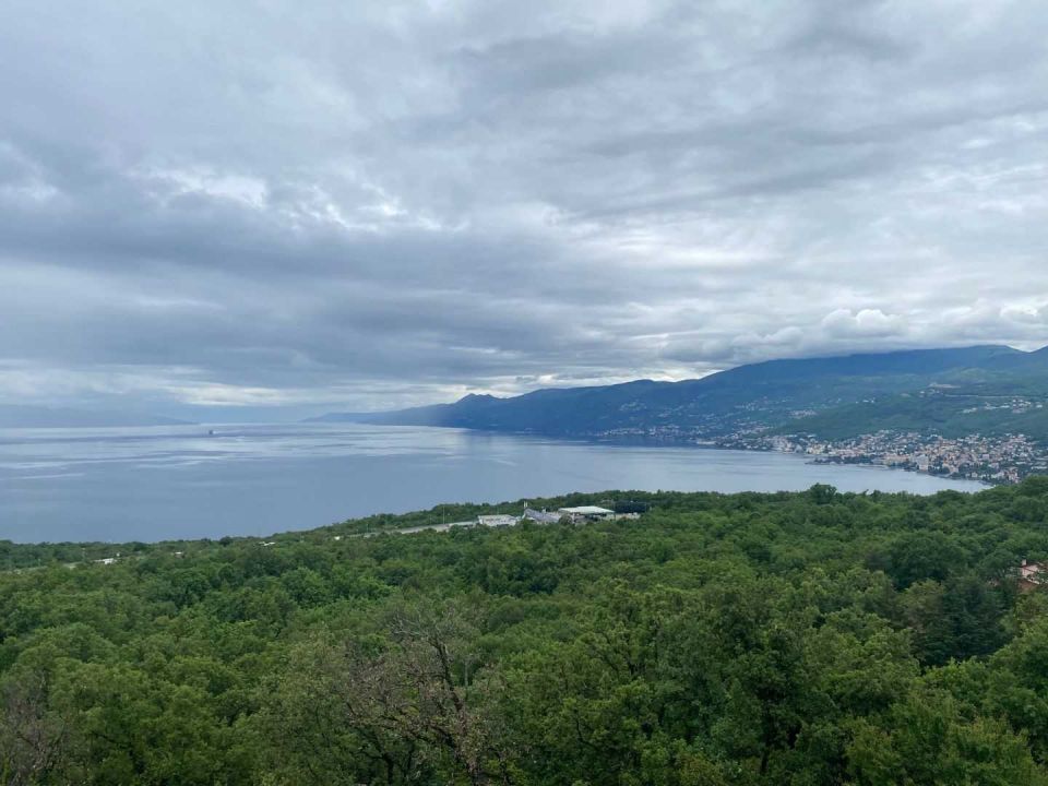original_1746539618_img_4921.jpg