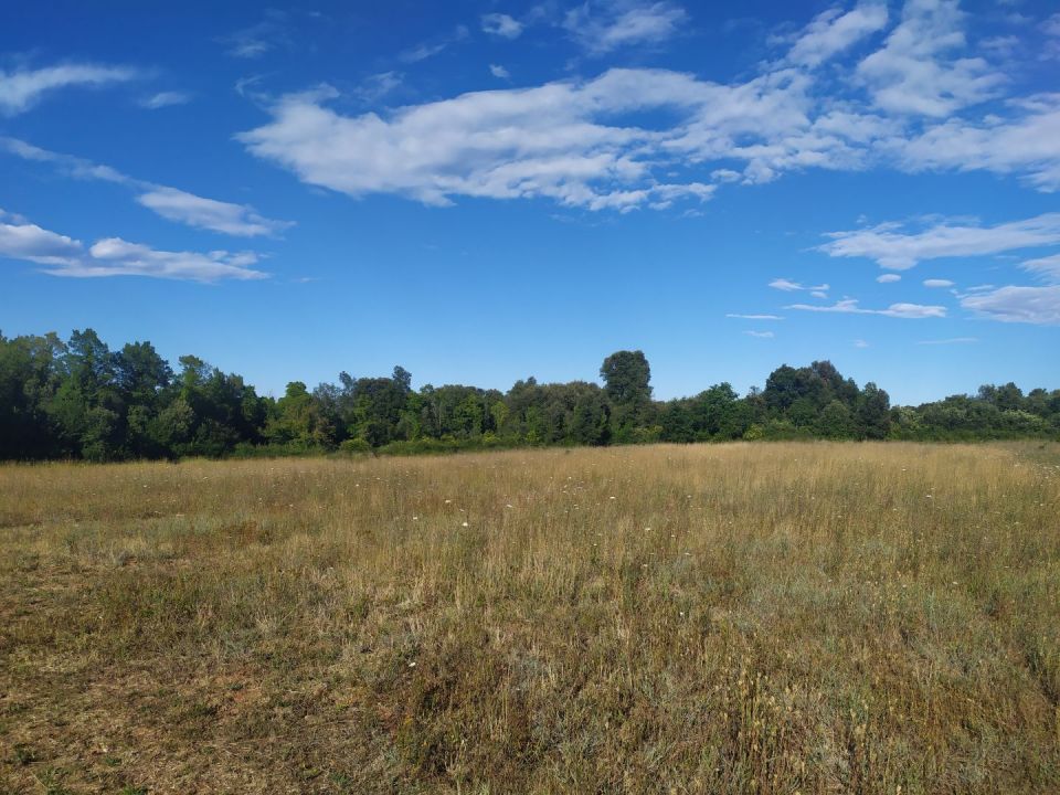 original_1600534243_1.jpg