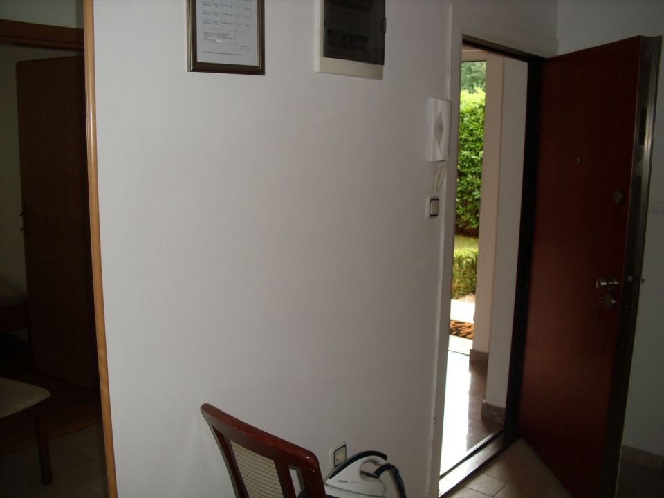 original_1749368066_img_5559.jpg