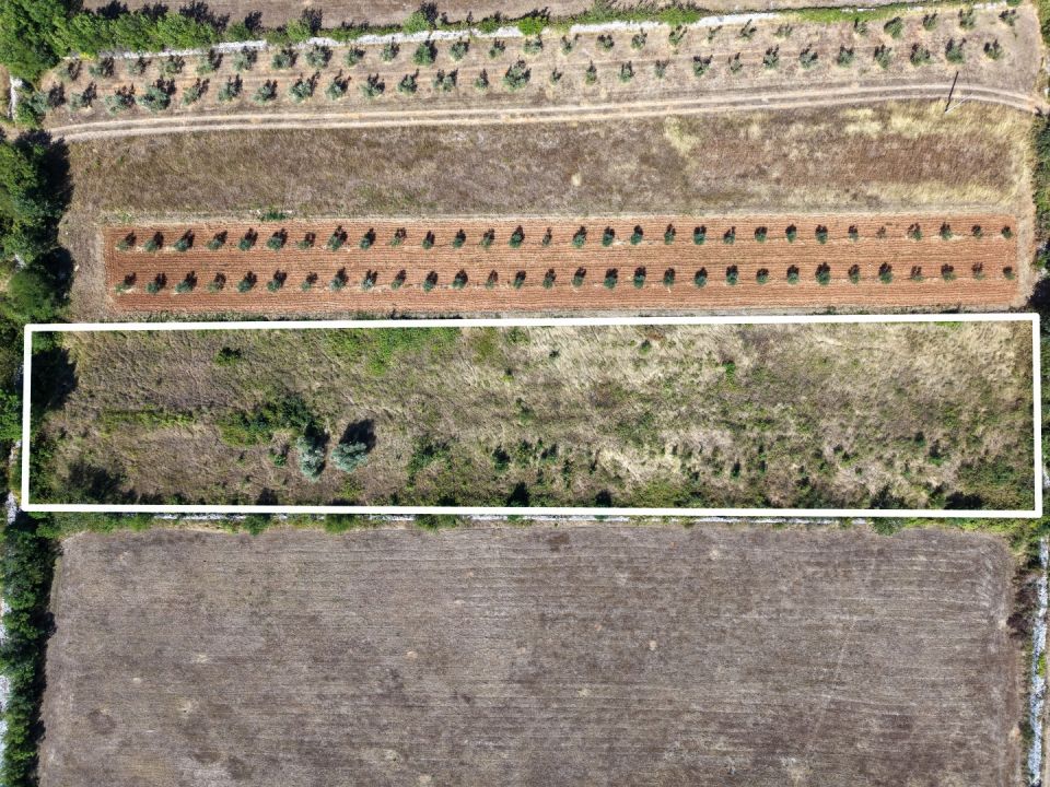 original_1789122029_dji_20260814104529_0079_d-2.jpg