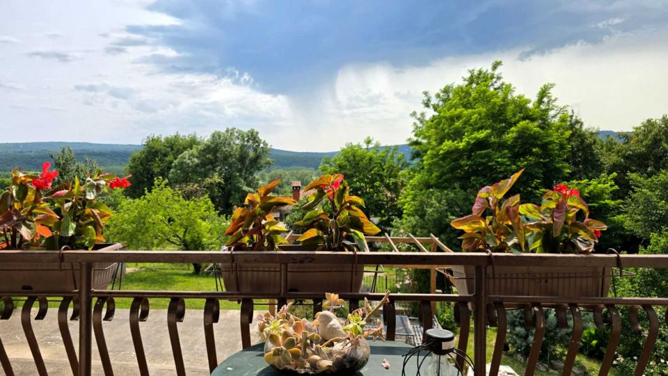 original_1749229928_croatia-istria-real-estate-7.jpg