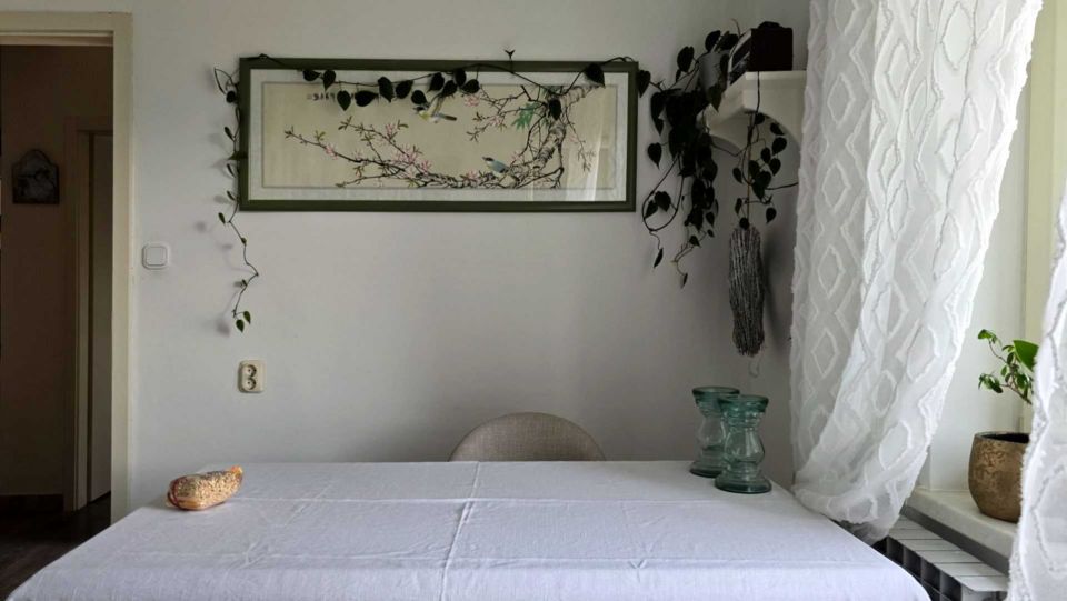 original_1749229942_croatia-istria-real-estate-9.jpg