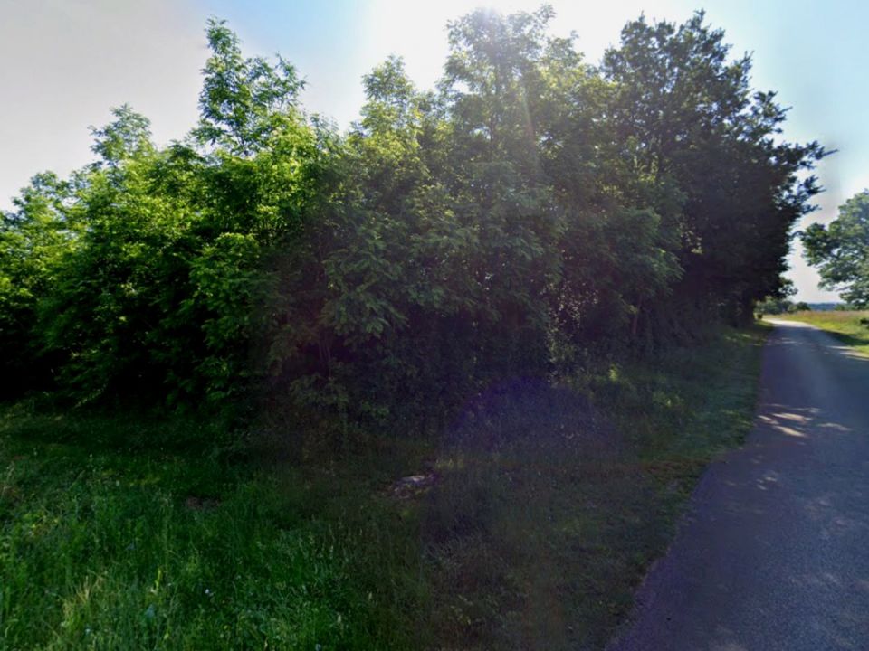 original_1749721897_istra-barban-gradevinsko-zemljiste-prodaja-2.jpg