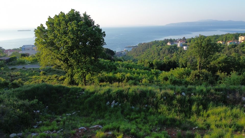 original_1752672337_dji_0789.jpg