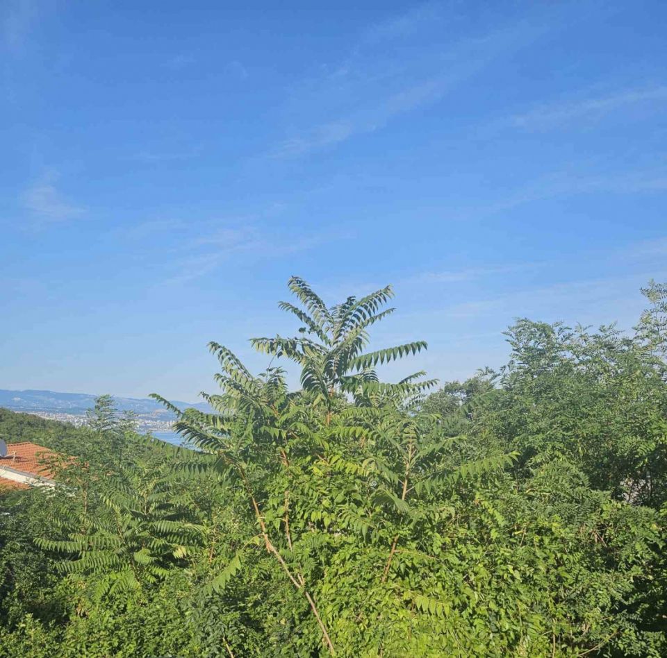 original_1752683089_11.jpg
