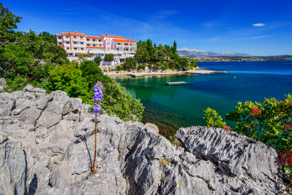 original_1753201450_slika_new_5-1.png