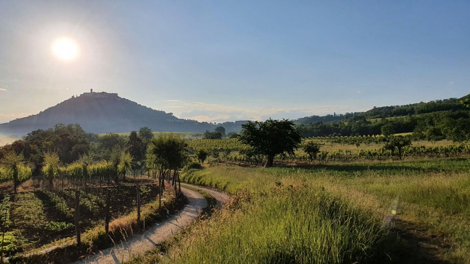 original_1753435709_motovun-5629316.jpg