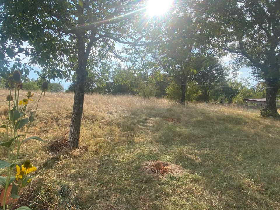 original_1725610522_img_9159.jpg