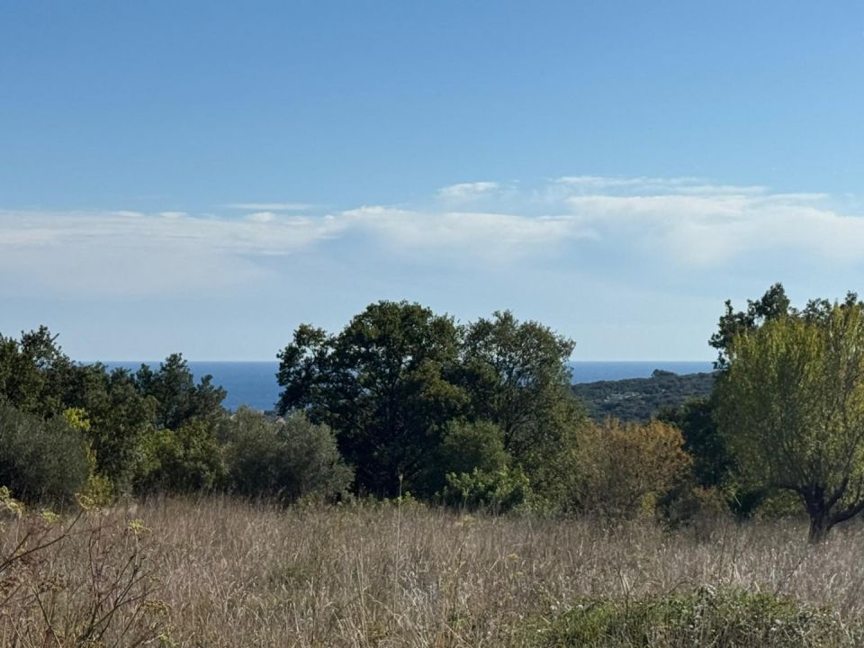 original_1759405907_1000046318.jpg