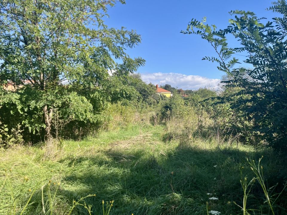 original_1759413815_img_5681.jpg
