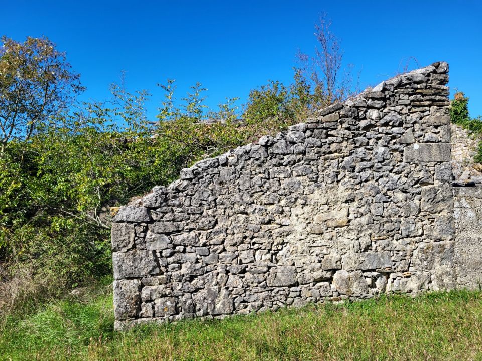 original_1760004025_20251008_122012.jpg