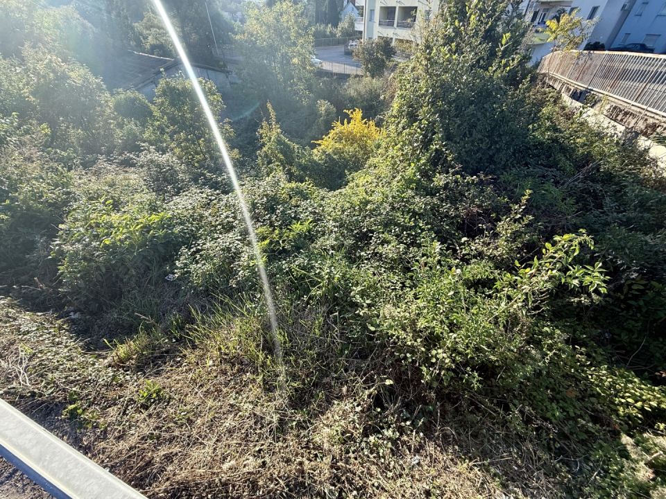 original_1760440689_img_9179.jpeg