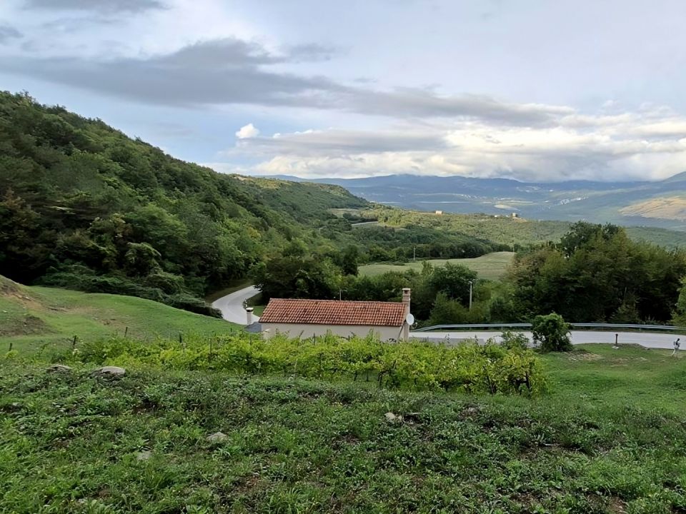 original_1760107491_croatia-istria-real-estate-for-sale-337.jpg