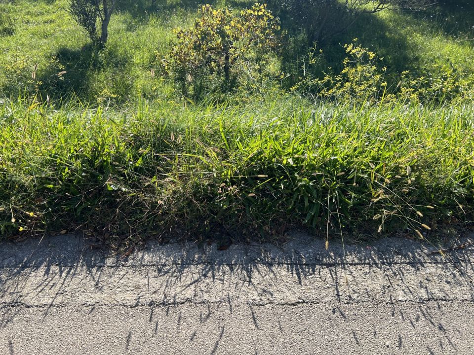 original_1761216799_img_4879.jpeg