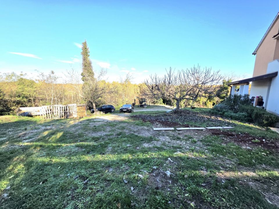 original_1764695603_1000037348.jpg
