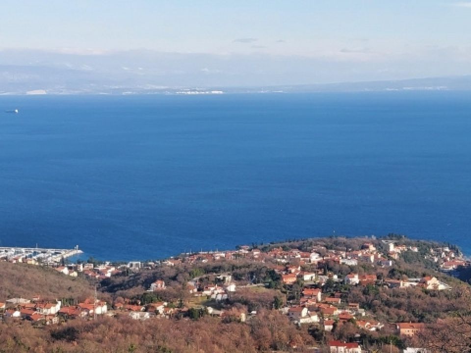 original_1765875949_1.jpg