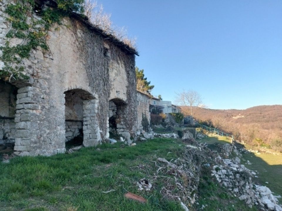 original_1765875978_11.jpg