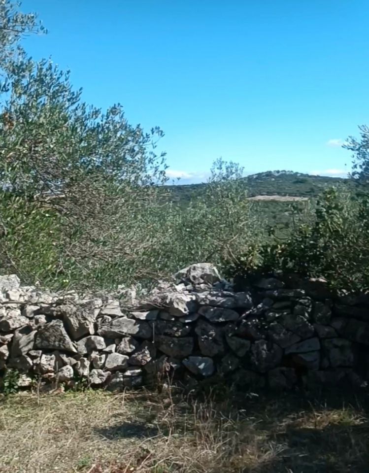 original_1781792079_1000026406.jpg