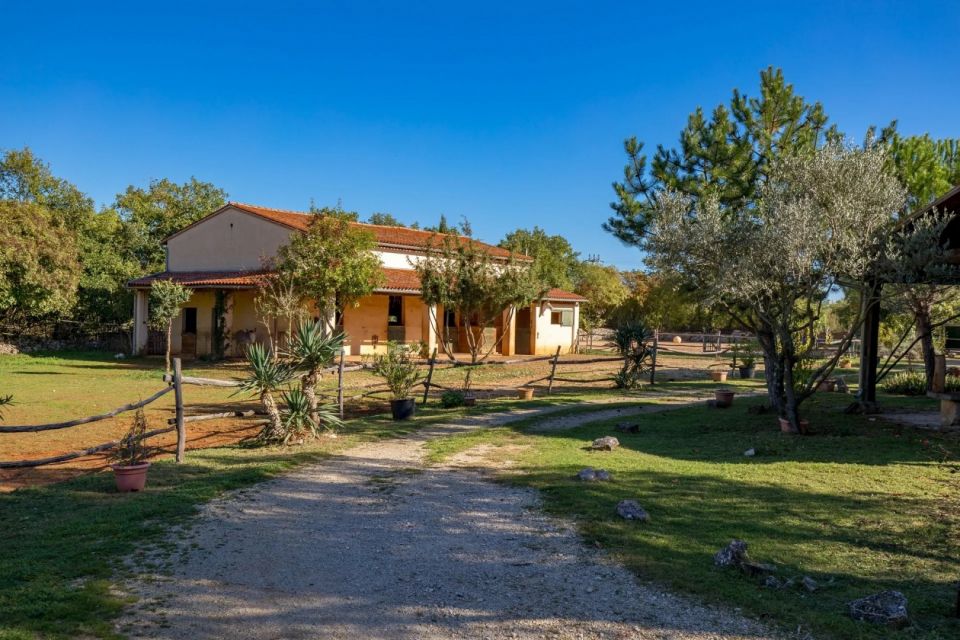 original_1771954634_croatia-istria-real-estate-for-sale-693.jpg