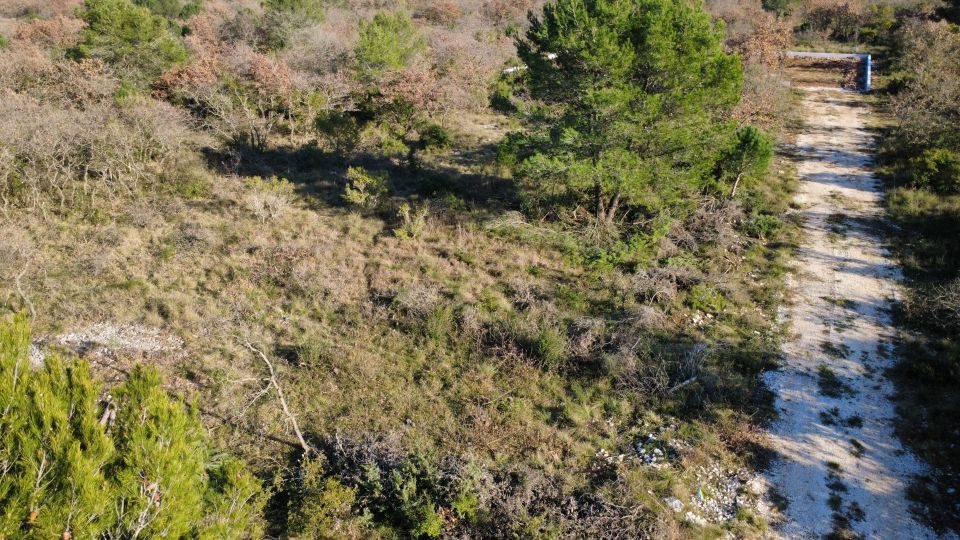 original_1773064344_dji_fly_20260306_153734_305_1772807896436_photo_optimized.jpg