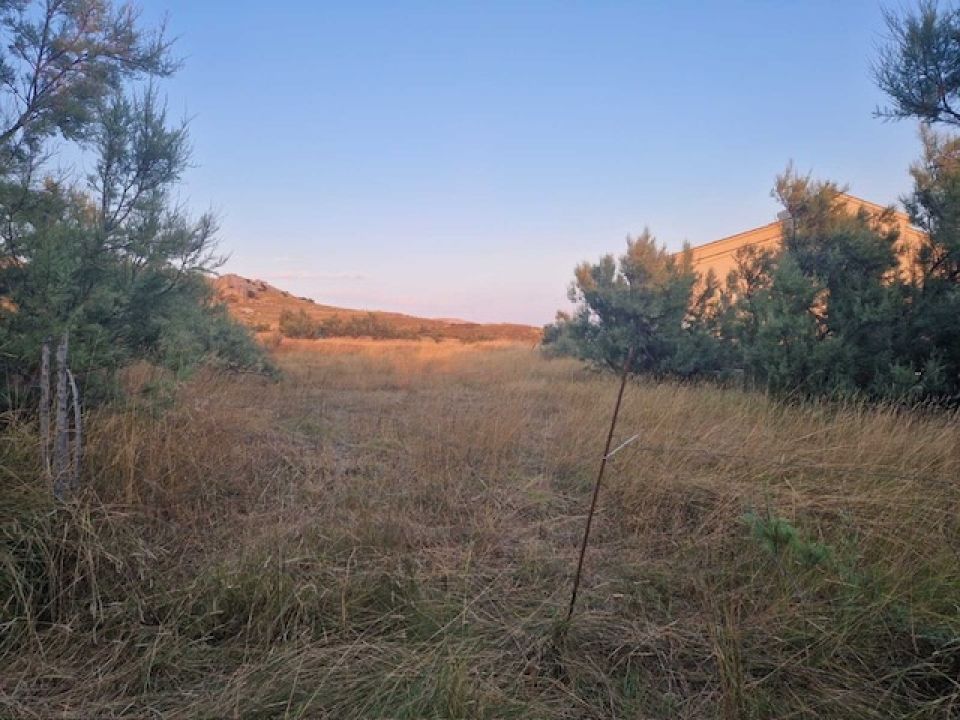 original_1755606783_img_1977.jpg
