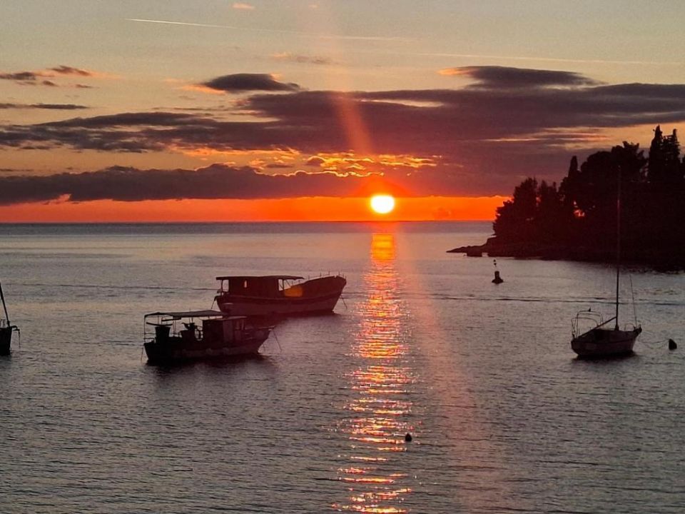 original_1777541056_855325739.jpg