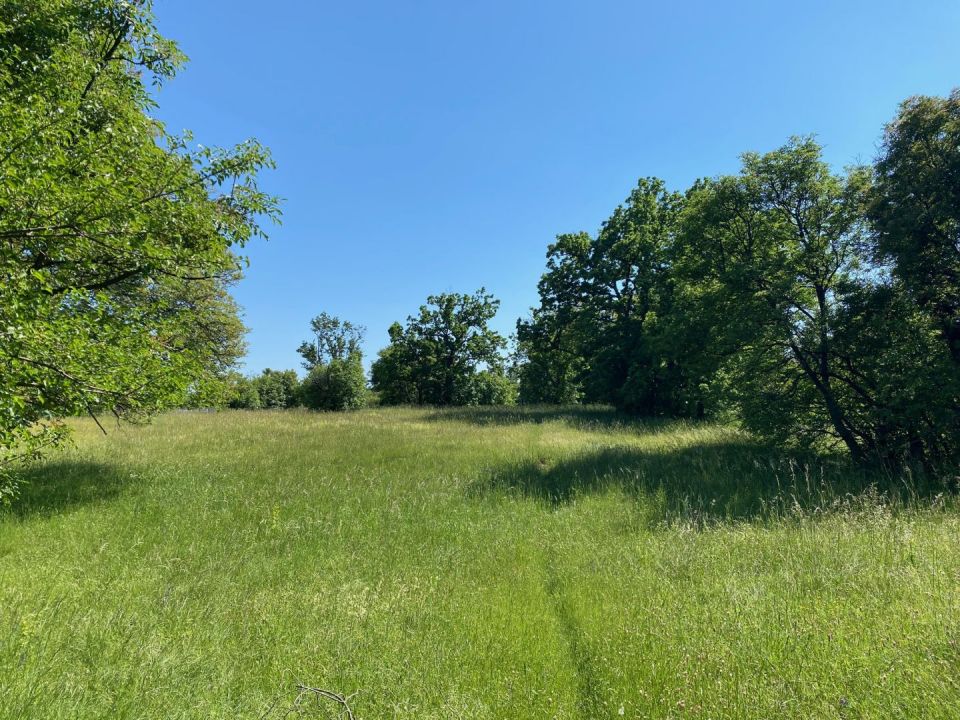 original_1747302310_img_5200.jpg