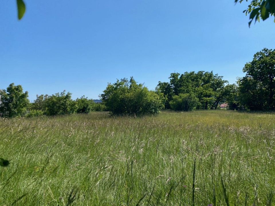 original_1747302313_img_5204.jpg