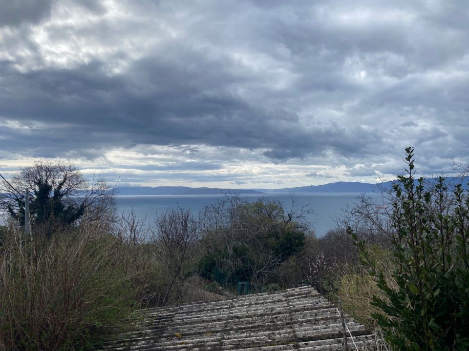original_1741880136_img_3549.jpg